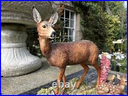 Border Fine Arts In A Sunny Glade BO255 Red Hind Deer & Fawns 1998 by R Ayres Border Fine Arts In A Sunny Glade BO255 Red Hind Deer & Fawns 1998 by R Ayres