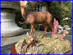 Border Fine Arts In A Sunny Glade BO255 Red Hind Deer & Fawns 1998 by R Ayres Border Fine Arts In A Sunny Glade BO255 Red Hind Deer & Fawns 1998 by R Ayres