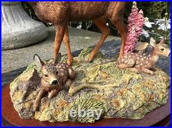 Border Fine Arts In A Sunny Glade BO255 Red Hind Deer & Fawns 1998 by R Ayres Border Fine Arts In A Sunny Glade BO255 Red Hind Deer & Fawns 1998 by R Ayres