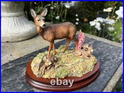 Border Fine Arts In A Sunny Glade BO255 Red Hind Deer & Fawns 1998 by R Ayres Border Fine Arts In A Sunny Glade BO255 Red Hind Deer & Fawns 1998 by R Ayres