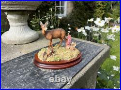 Border Fine Arts In A Sunny Glade BO255 Red Hind Deer & Fawns 1998 by R Ayres Border Fine Arts In A Sunny Glade BO255 Red Hind Deer & Fawns 1998 by R Ayres