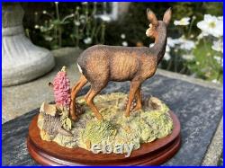 Border Fine Arts In A Sunny Glade BO255 Red Hind Deer & Fawns 1998 by R Ayres Border Fine Arts In A Sunny Glade BO255 Red Hind Deer & Fawns 1998 by R Ayres