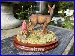 Border Fine Arts In A Sunny Glade BO255 Red Hind Deer & Fawns 1998 by R Ayres Border Fine Arts In A Sunny Glade BO255 Red Hind Deer & Fawns 1998 by R Ayres