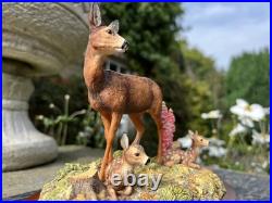Border Fine Arts In A Sunny Glade BO255 Red Hind Deer & Fawns 1998 by R Ayres Border Fine Arts In A Sunny Glade BO255 Red Hind Deer & Fawns 1998 by R Ayres