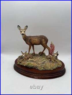 Border Fine Arts In A Sunny Glade Deer & Young BO255, 1998 By Ray Ayres