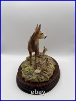 Border Fine Arts In A Sunny Glade Deer & Young BO255, 1998 By Ray Ayres