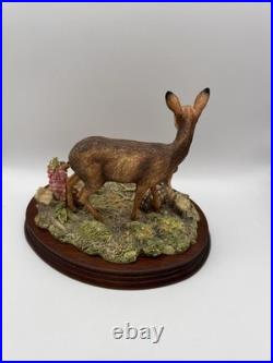 Border Fine Arts In A Sunny Glade Deer & Young BO255, 1998 By Ray Ayres
