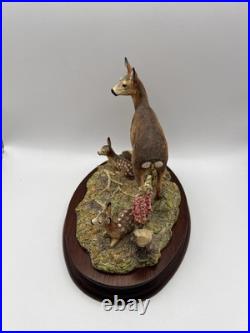 Border Fine Arts In A Sunny Glade Deer & Young BO255, 1998 By Ray Ayres
