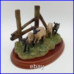 Border Fine Arts JAMES HERRIOT A0906 The Derby