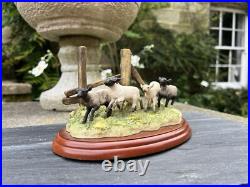 Border Fine Arts JAMES HERRIOT A0906 The Derby Border Fine Arts JAMES HERRIOT A0906 The Derby
