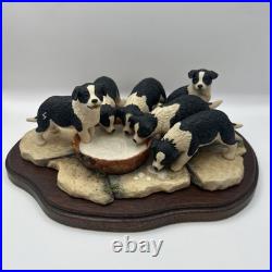 Border Fine Arts JH30 Pick of the Litter Border Collie Puppies VGC