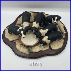 Border Fine Arts JH30 Pick of the Litter Border Collie Puppies VGC