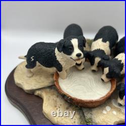 Border Fine Arts JH30 Pick of the Litter Border Collie Puppies VGC