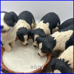 Border Fine Arts JH30 Pick of the Litter Border Collie Puppies VGC