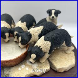Border Fine Arts JH30 Pick of the Litter Border Collie Puppies VGC