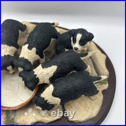 Border Fine Arts JH30 Pick of the Litter Border Collie Puppies VGC