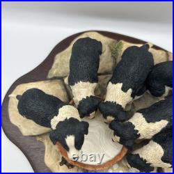 Border Fine Arts JH30 Pick of the Litter Border Collie Puppies VGC