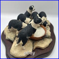 Border Fine Arts JH30 Pick of the Litter Border Collie Puppies VGC