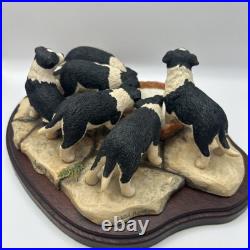 Border Fine Arts JH30 Pick of the Litter Border Collie Puppies VGC