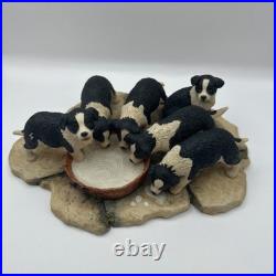 Border Fine Arts JH30 Pick of the Litter Border Collie Puppies VGC