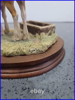 Border Fine Arts JH32 Spring Pastures Figurine by Ray Ayres Ltd Ed No Box V Rare