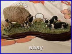 Border Fine Arts James Herriot Come No Closer Collies Sheep A5914 Rare