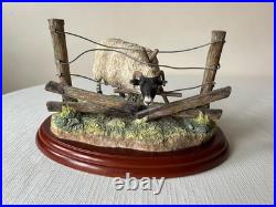 Border Fine Arts James Herriot Ewedini Sheep Figurine A0907 Swaledale Ram