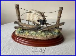 Border Fine Arts James Herriot Ewedini Sheep Figurine A0907 Swaledale Ram