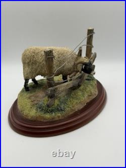 Border Fine Arts James Herriot Ewedini Sheep Figurine A0907 Swaledale Ram