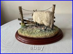 Border Fine Arts James Herriot Ewedini Sheep Figurine A0907 Swaledale Ram