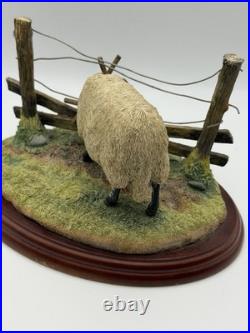 Border Fine Arts James Herriot Ewedini Sheep Figurine A0907 Swaledale Ram