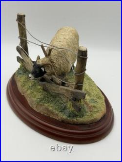 Border Fine Arts James Herriot Ewedini Sheep Figurine A0907 Swaledale Ram