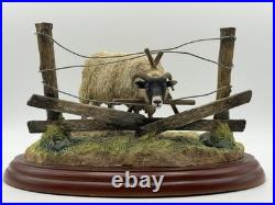 Border Fine Arts James Herriot Ewedini Sheep Figurine A0907 Swaledale Ram