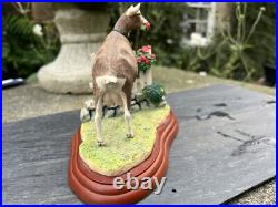Border Fine Arts James Herriot Goat'Prize Blooms' A0458 Border Fine Arts James Herriot Goat'Prize Blooms' A0458