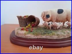 Border Fine Arts James Herriot Studio Collection A1223 Pigs No Scrumping Boxed