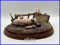 Border Fine Arts James Herriot Studio Vol Pigs'Mud Spa' A8436