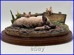 Border Fine Arts James Herriot Studio Vol Pigs'Mud Spa' A8436