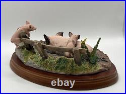 Border Fine Arts James Herriot Studio Vol Pigs'Mud Spa' A8436