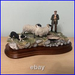 Border Fine Arts Jh90 Steady Lad Steady Border Collie Sheep L/e Original Boxes