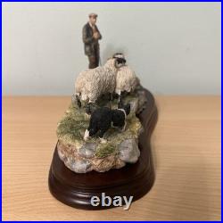 Border Fine Arts Jh90 Steady Lad Steady Border Collie Sheep L/e Original Boxes