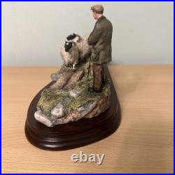 Border Fine Arts Jh90 Steady Lad Steady Border Collie Sheep L/e Original Boxes