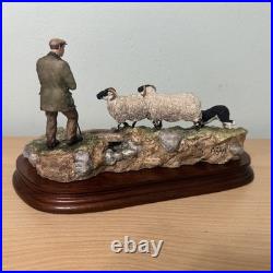 Border Fine Arts Jh90 Steady Lad Steady Border Collie Sheep L/e Original Boxes