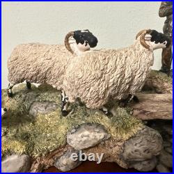 Border Fine Arts Jh90 Steady Lad Steady Border Collie Sheep L/e Original Boxes