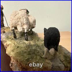 Border Fine Arts Jh90 Steady Lad Steady Border Collie Sheep L/e Original Boxes