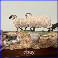 Border Fine Arts Jh90 Steady Lad Steady Border Collie Sheep L/e Original Boxes