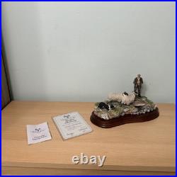 Border Fine Arts Jh90 Steady Lad Steady Border Collie Sheep L/e Original Boxes