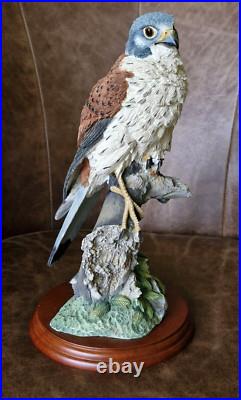 Border Fine Arts KESTREL Ornament by Russell Willis Number 739480