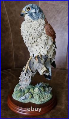 Border Fine Arts KESTREL Ornament by Russell Willis Number 739480
