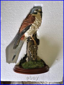 Border Fine Arts KESTREL Ornament by Russell Willis Number 739480