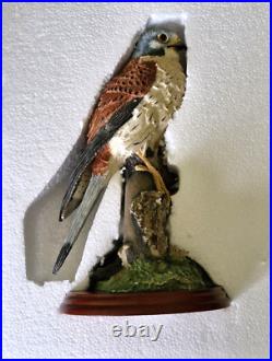 Border Fine Arts KESTREL Ornament by Russell Willis Number 739480
